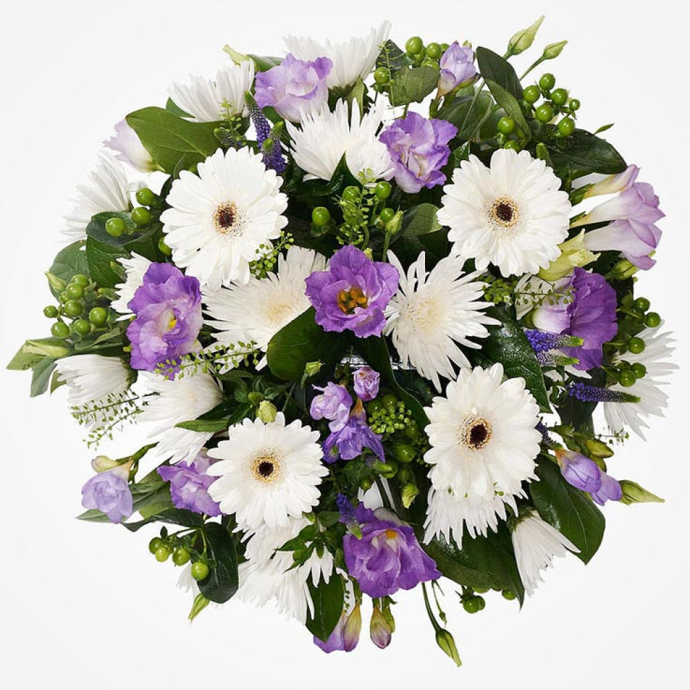 Purple Posy