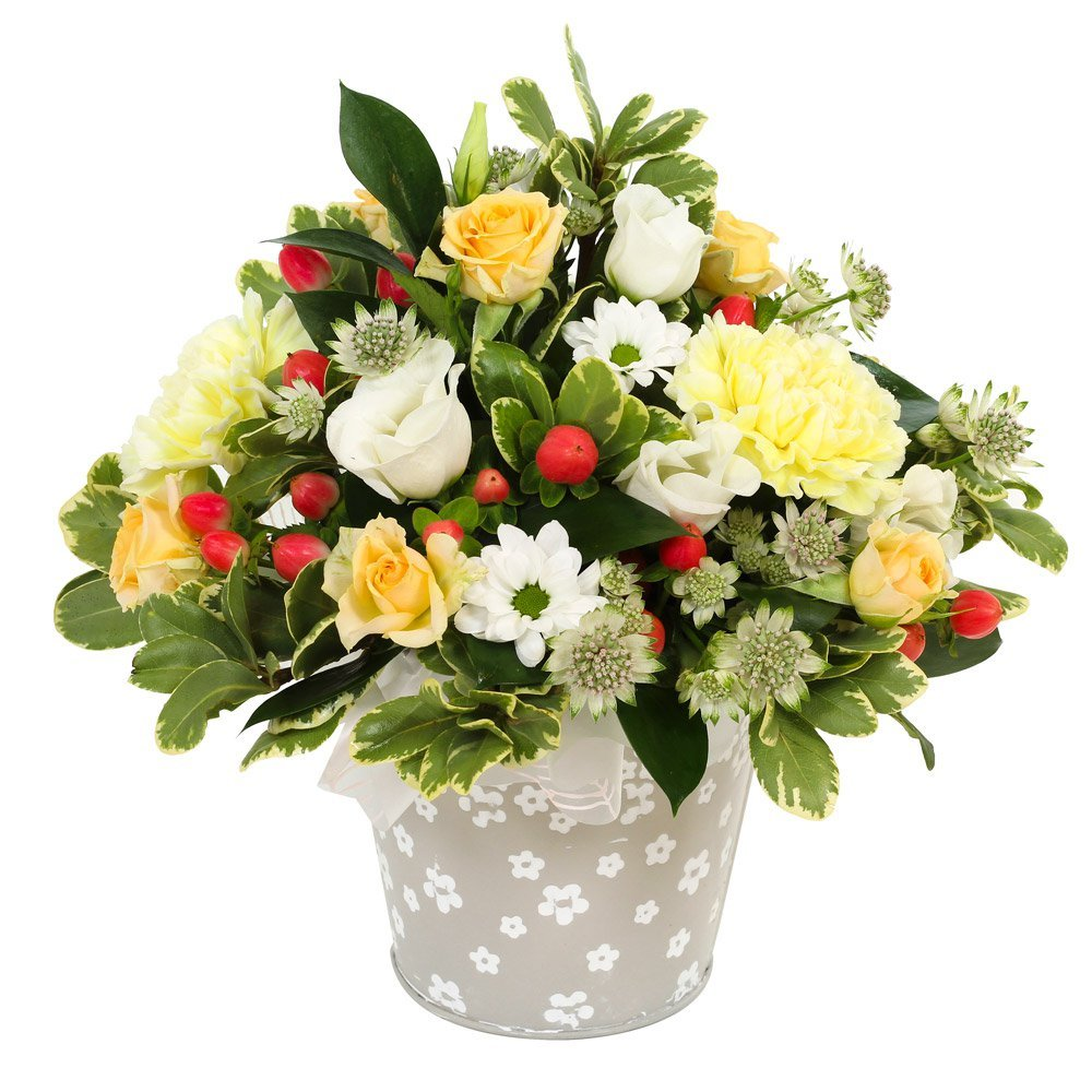 Best Wishes